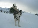 In Valmalenco al Rifugio Cristina con tanta neve l'8 dicembre 08  - FOTOGALLERY